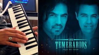 Una tarde fue  Los Temerarios Melódica cover [upl. by Anilyx]