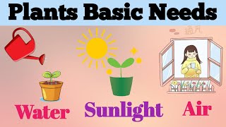 Plants Basic Needs for kids  Plants need  How to grow plants  Part 3  Environment science [upl. by Enailil]