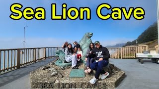 Sea Lion Caves  Oregon Coast [upl. by Ennovyahs]