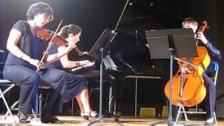 Rondo à la hongroise  Haydn  Trio Dautremer [upl. by Anikas391]