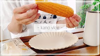 【自炊vlog】平凡な日常｜働いてご飯食べてお弁当作る｜休日はパン屋行こう🥖 [upl. by Nilecoj646]