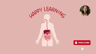 How Human Digestive System Works Animation [upl. by Tadich]