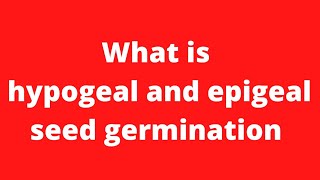 Difference between hypogeal and epigealhypogeal and epigeal germinationhypogeal germination [upl. by Cutlor]