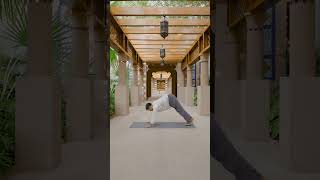 Jumeirah Al Qasr  Wellness  Talise Spa Yoga [upl. by Eerehs]