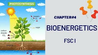 Photosynthesis class 11 Photosynthesis biology  Photosynthesis Introduction Photosynthesis [upl. by Anaytat930]