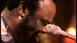 Freddie King  Sweet Home Chicago [upl. by Gerge]