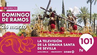 🔴 EN DIRECTO  Domingo de Ramos  Primera Parte  Semana Santa Sevilla  24 marzo 2024 [upl. by Adlei]