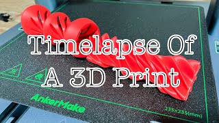 3D Printer Time Lapse  Took 4 Hours To Print  AnkerMake [upl. by Ileane]