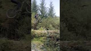 Proline trail at dyfi bike park sendit mtb mtbsends shred dyfibikepark mtblife [upl. by Leander]