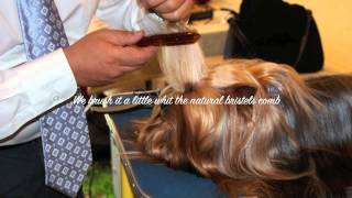 Grooming A Yorkshire Terrier for Show [upl. by Buyse]