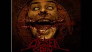 Chelsea Grin  quotLifelessquot HQ with lyrics [upl. by Lexy]