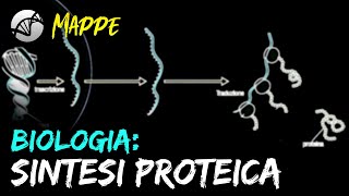 MAPPA Biologia  La Sintesi Proteica [upl. by Barth]