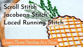 Learn Hand Embroidery Stitches  Jacobean Couching Laced Running Stitch Scroll Stitch [upl. by Bertila]