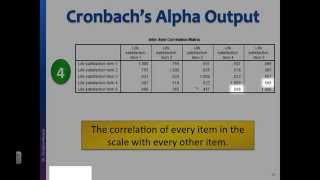 Reliability test Interpret Cronbachs alpha output in SPSS [upl. by Nanyt192]