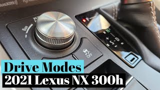 Drive Modes of the 2021 Lexus NX 300h [upl. by Leihcim]