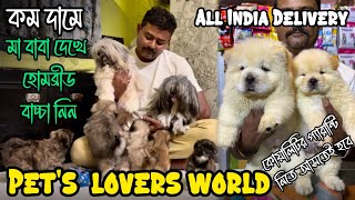 quotPet Lovers Worldquot Pet Shop At Kolkata💥😍 Home Breed Lhasa Apso  Low Price Puppy Sell in Kolkata [upl. by Thomey]