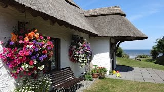 Summer at The Cottages Ireland [upl. by Ronni]