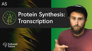 Protein Synthesis Transcription  A Level Biology Revision  AQA [upl. by Wash161]