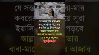 সূরা ইয়াসিন পাঠ করুন yeasin islamicstatus islamicmotivation islamicshorts foryou sadstory [upl. by Neehsuan]