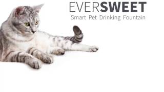 PETKIT Eversweet Smart Dog and Cat Fountain [upl. by Monetta442]