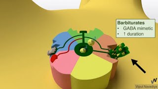 Drugs Acting on GABAA Receptor Mechanisms [upl. by Prince975]