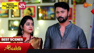 Sevanthi  Best Scenes  18 Nov 2023  Kannada Serial  Udaya TV [upl. by Ahsinod]