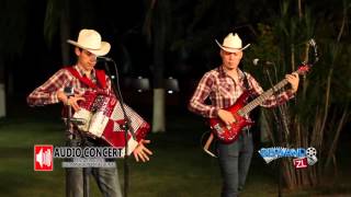 Los Amigueros De La Sierra  El Tecnico En Vivo 2016 [upl. by Sophey413]