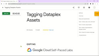 Tagging Dataplex Assets  GSP1145  Solution [upl. by Nnairet]