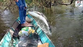 umpan ikan ini ternyata di sukai predator penghuni danau gatal [upl. by Tedder]