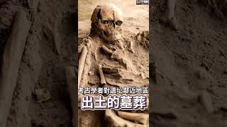 恐龍化石旁的史前岩畫揭示何種上古秘密恐龍 恐龍化石 dinosaur 化石古生物學考古考古學 考古學家 [upl. by Aurora]