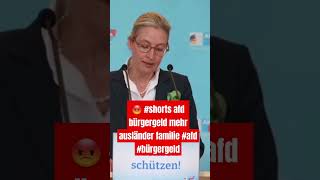 😡 shorts afd Bürgergeld mehr ASLÄNDER FAMILIE AfD bürgergeld [upl. by Ruby]