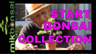 Starting a bonsai tree collection from cuttings nursery plants Part 1 [upl. by Grearson]