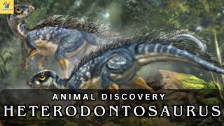 Heterodontosaurus Exploring an Ancient Icons Mysteries [upl. by Nywroc196]