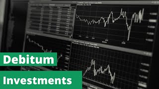 Debitum Investments Review 2024 my Results After 6 Months of Investing [upl. by Jo-Anne459]