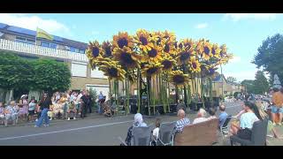 Bloemencorso Lichtenvoorde 2024  Groep van ons  Bloemenveld [upl. by Oleusnoc]