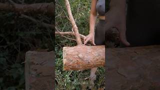 I Built a Wooden Hammer Then Tried to BREAK It [upl. by Dnomad539]