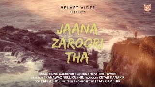 Jaana Zaroori Tha  Official Video  Shray Rai Tiwari  Tejas Gambhir  Velvet Vibes [upl. by Oicafinob636]