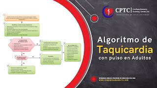 Algoritmo de Taquicardia con Pulso en Adultos [upl. by Gaspar]