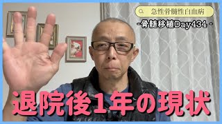 【白血病】最近の体調・血液検査・WT1についてDay434【抗がん剤】 [upl. by Airetnohs]