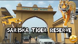 TOUR OF SARISKA TIGER RESERVE WILDLIFE SAFARI  TEHLA GATE  ALWAR RAJASTHAN  FULL GUIDE [upl. by Richer]