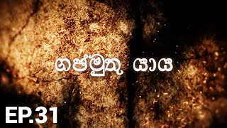 ගජමුතු යාය  Gajamuthu Yaya  Episode 31 [upl. by Neirad]