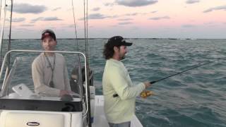 RTFS  Miami Tarpon with Lunkerdog [upl. by Bennet]