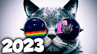 MÚSICA ELETRÔNICA 2023 🔥 ELETRÔNICAS 2023 MAIS TOCADAS 🔥 Alok Vintage Culture amp David Guetta [upl. by Terina219]