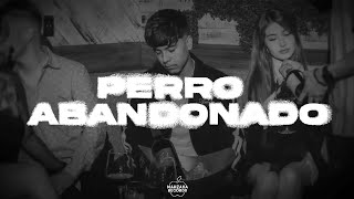 Ivan Cornejo  Perro Abandonado Letra Oficial  Lyrics  Bonus Track [upl. by Derna]