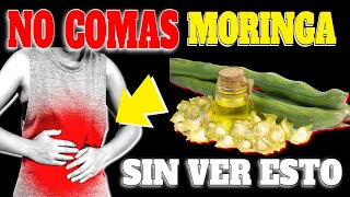 ¡ALERTA El PELIGRO de la MORINGA es que NO LA TOMES INCREIBLES BENEFICIOS [upl. by Ahtimat868]