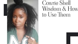 Cowrie Shell Wisdom and How to Use Them [upl. by Adnilemre]