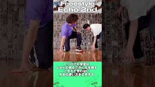 【Freestyle】Echo 2nd  振付  コンビネーション  ダンス 初心者  中級  Shorts [upl. by Nafets]