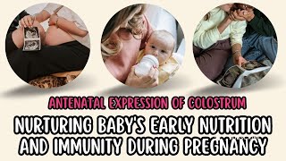 Antenatal Expression of Colostrum Nurturing Babys Early Nutrition and Immunity during Pregnancy [upl. by Joan]