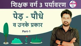 MPTET Varg 3 Exam 2024  Environment पड़े पोधे उनके प्रकार ll Part 1 By krishnaveer sir [upl. by Kaltman]