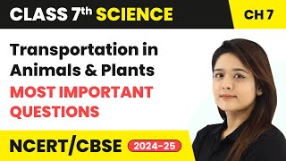 Transportation in Animals and Plants  Most Important Questions  Class 7 Science Ch 7  CBSE 2024 [upl. by Aydin]